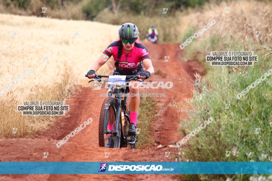 Circuito Regional de MTB - 3ª Etapa - Marialva