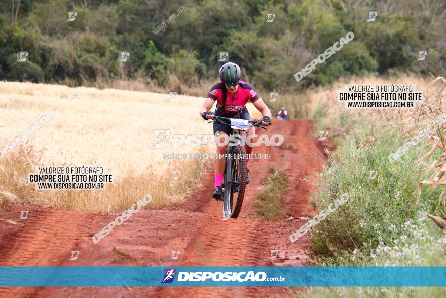 Circuito Regional de MTB - 3ª Etapa - Marialva