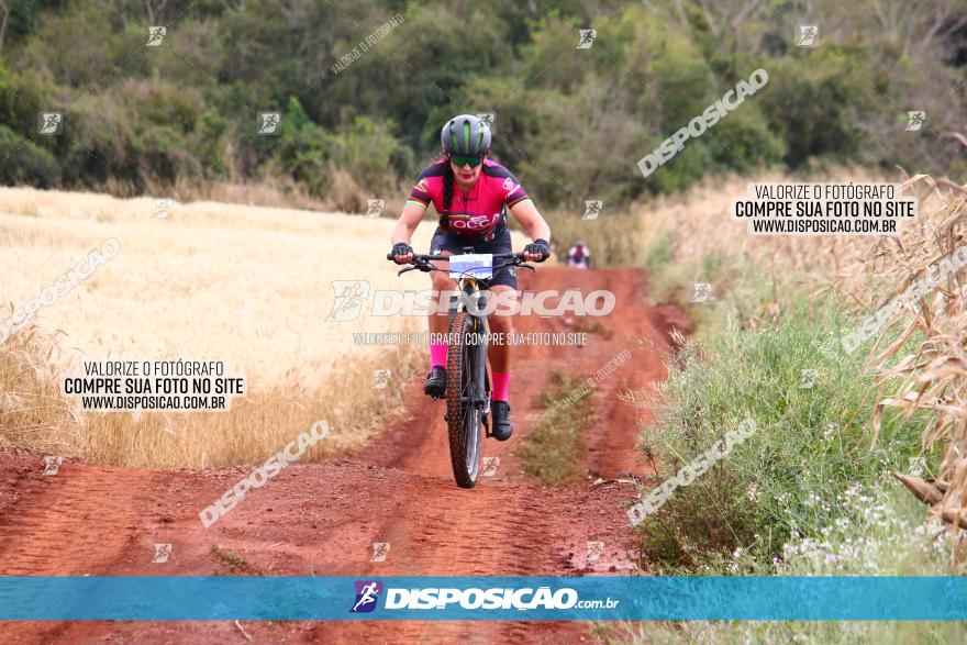 Circuito Regional de MTB - 3ª Etapa - Marialva