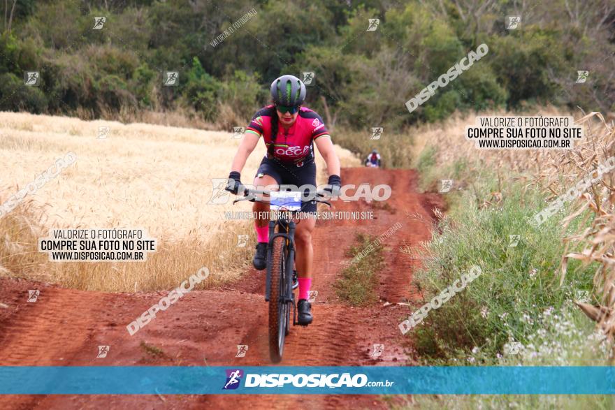 Circuito Regional de MTB - 3ª Etapa - Marialva