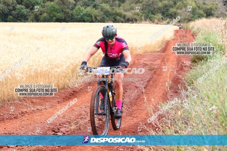 Circuito Regional de MTB - 3ª Etapa - Marialva