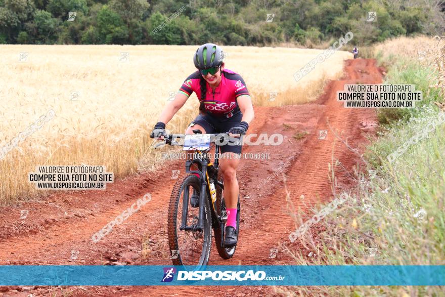 Circuito Regional de MTB - 3ª Etapa - Marialva