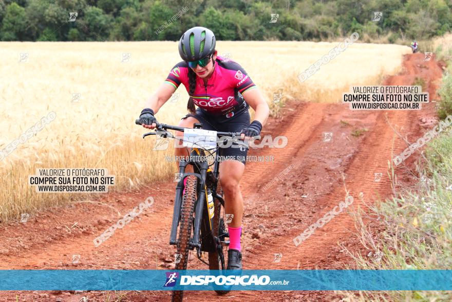 Circuito Regional de MTB - 3ª Etapa - Marialva