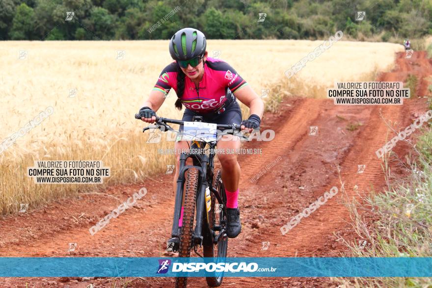 Circuito Regional de MTB - 3ª Etapa - Marialva