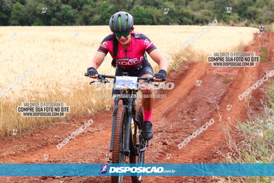 Circuito Regional de MTB - 3ª Etapa - Marialva