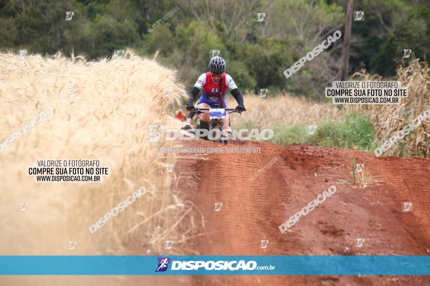 Circuito Regional de MTB - 3ª Etapa - Marialva