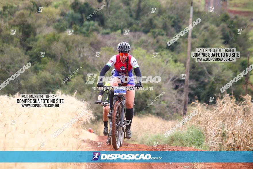 Circuito Regional de MTB - 3ª Etapa - Marialva