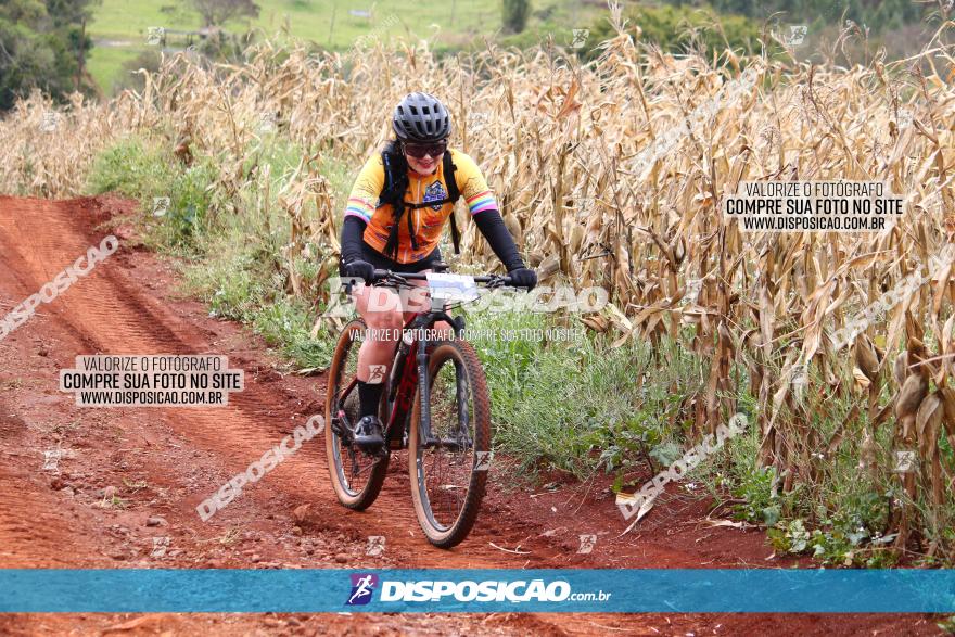 Circuito Regional de MTB - 3ª Etapa - Marialva