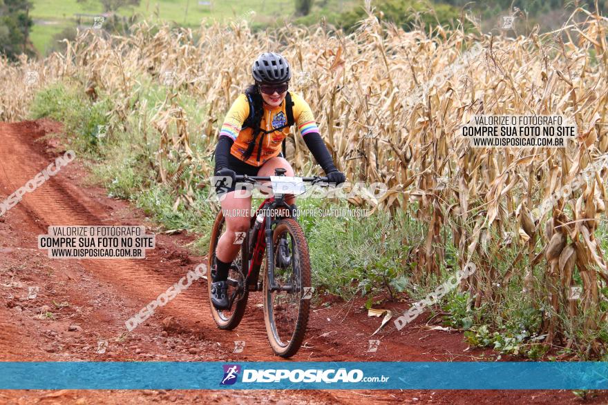 Circuito Regional de MTB - 3ª Etapa - Marialva