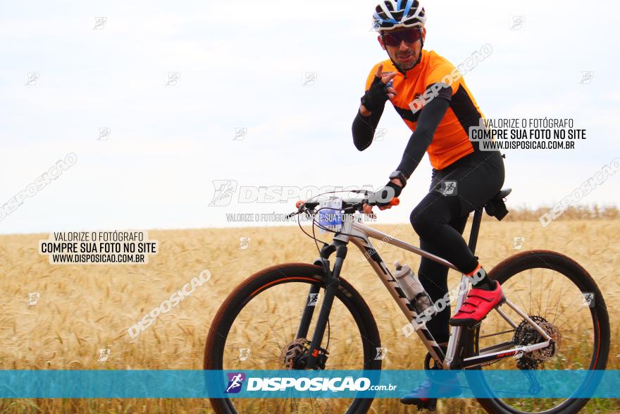 Circuito Regional de MTB - 3ª Etapa - Marialva