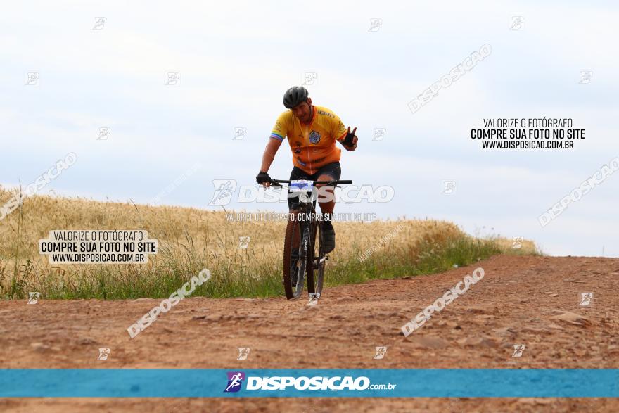 Circuito Regional de MTB - 3ª Etapa - Marialva