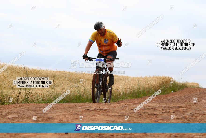 Circuito Regional de MTB - 3ª Etapa - Marialva