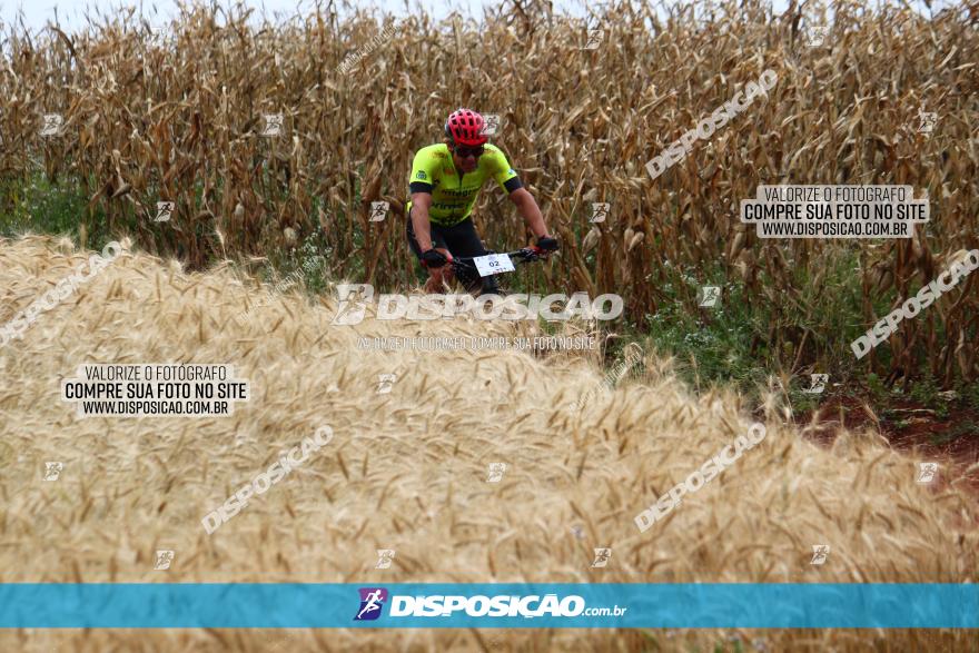 Circuito Regional de MTB - 3ª Etapa - Marialva