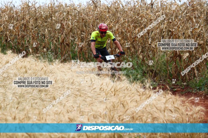 Circuito Regional de MTB - 3ª Etapa - Marialva