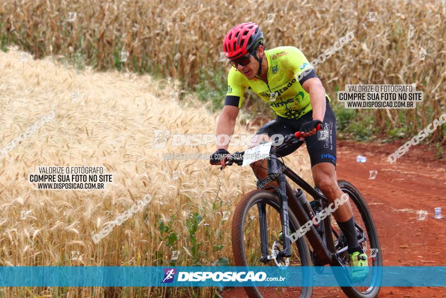 Circuito Regional de MTB - 3ª Etapa - Marialva