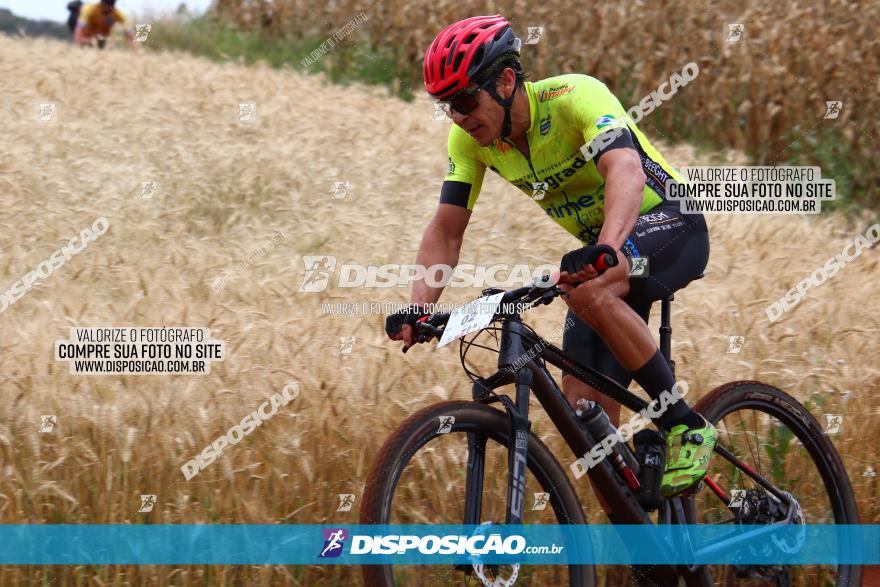 Circuito Regional de MTB - 3ª Etapa - Marialva