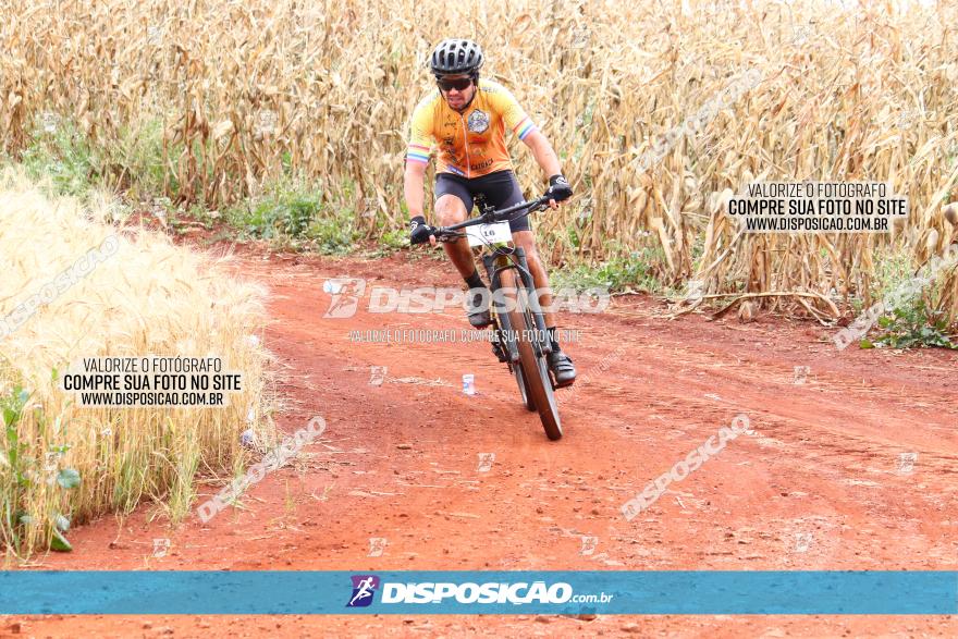 Circuito Regional de MTB - 3ª Etapa - Marialva