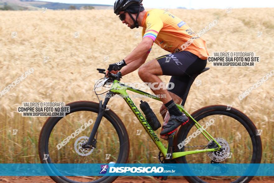 Circuito Regional de MTB - 3ª Etapa - Marialva