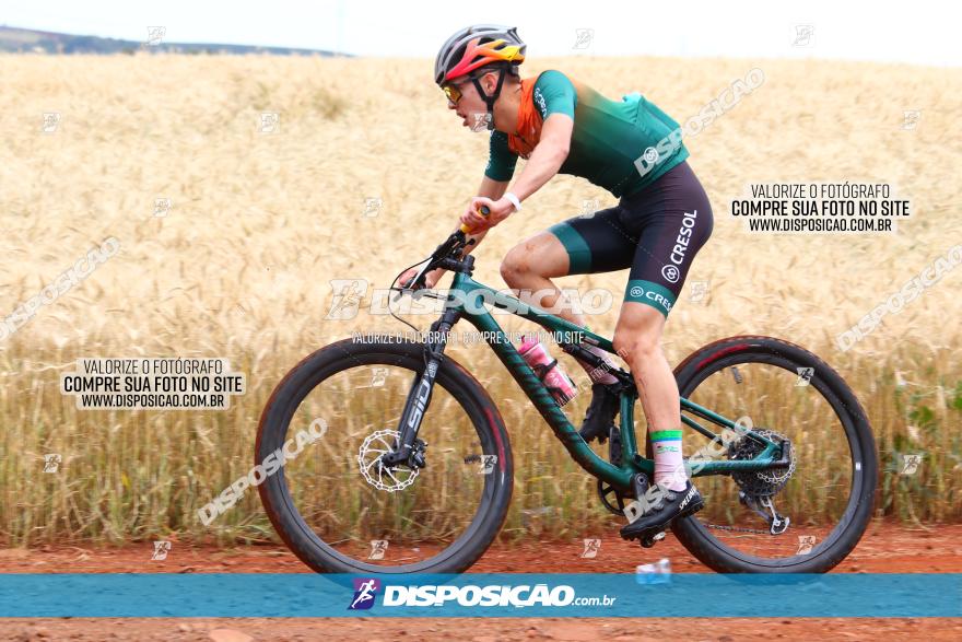 Circuito Regional de MTB - 3ª Etapa - Marialva