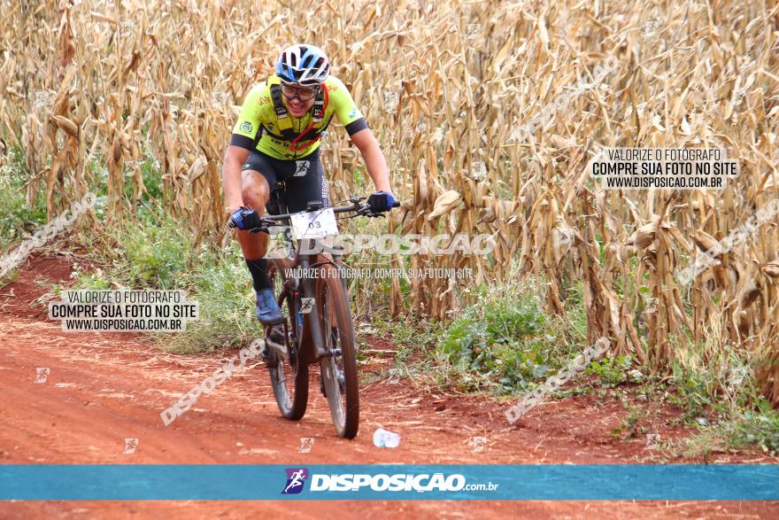 Circuito Regional de MTB - 3ª Etapa - Marialva