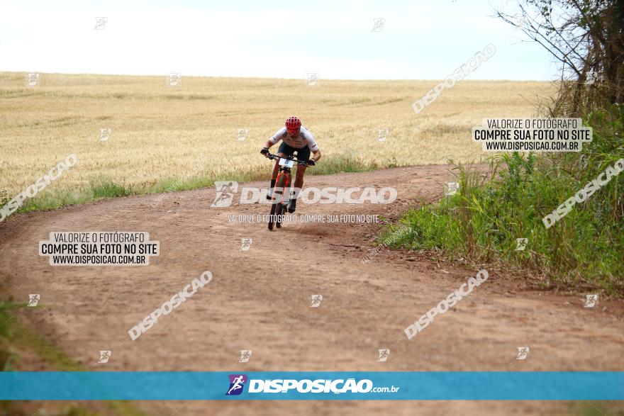 Circuito Regional de MTB - 3ª Etapa - Marialva