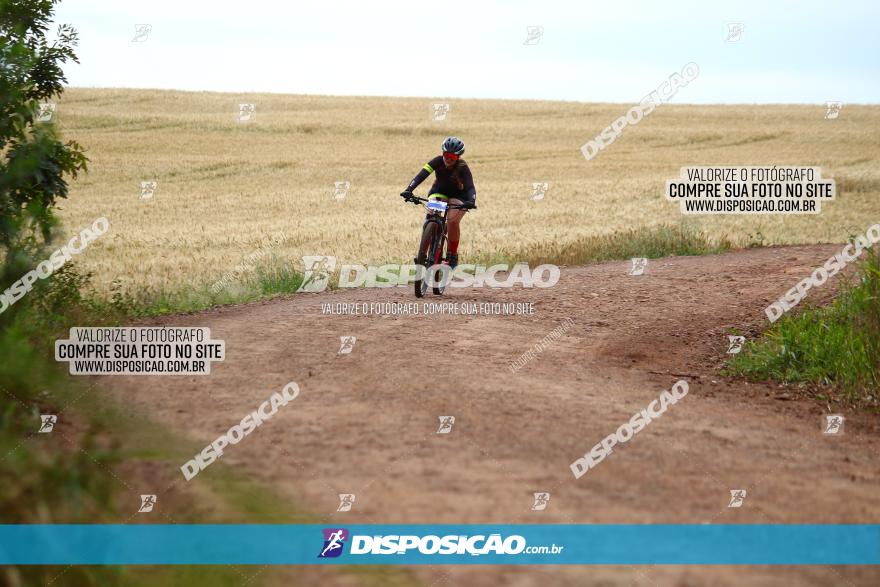 Circuito Regional de MTB - 3ª Etapa - Marialva