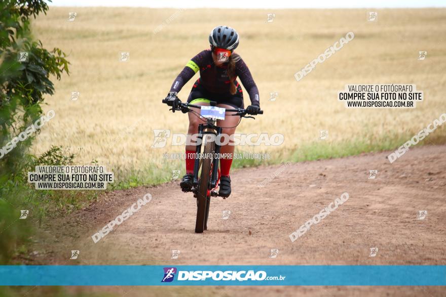 Circuito Regional de MTB - 3ª Etapa - Marialva