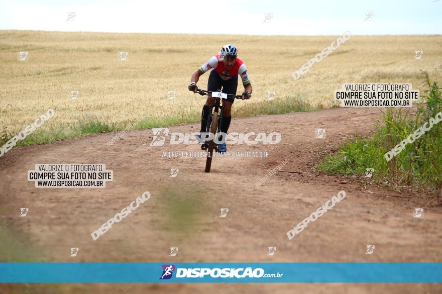 Circuito Regional de MTB - 3ª Etapa - Marialva