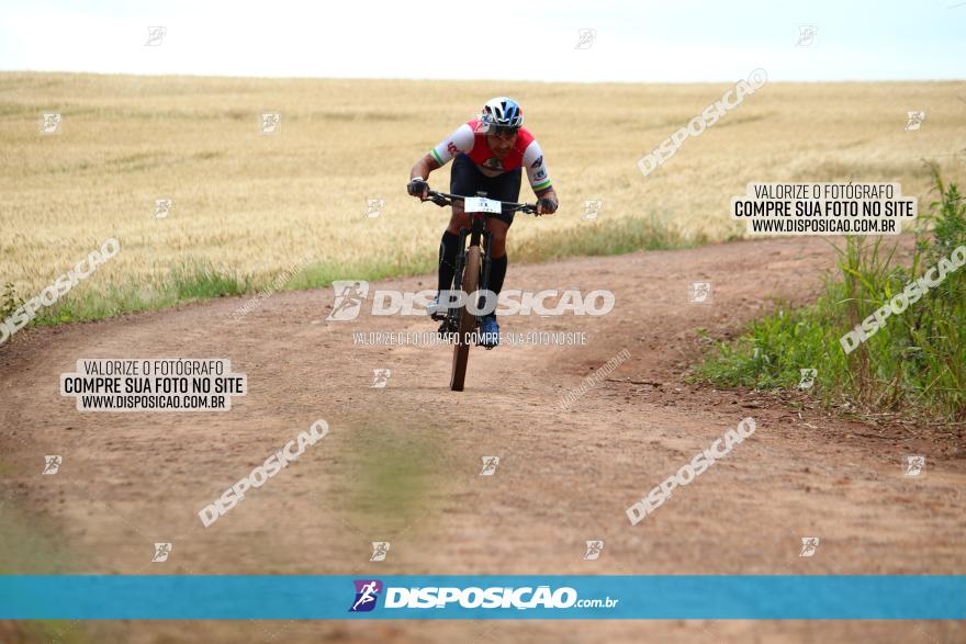 Circuito Regional de MTB - 3ª Etapa - Marialva