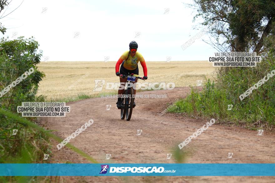 Circuito Regional de MTB - 3ª Etapa - Marialva