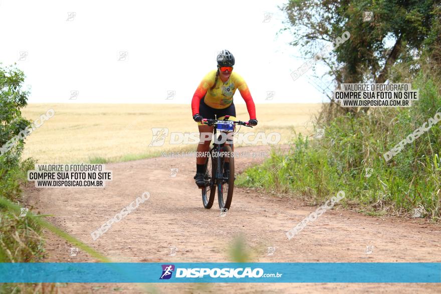 Circuito Regional de MTB - 3ª Etapa - Marialva