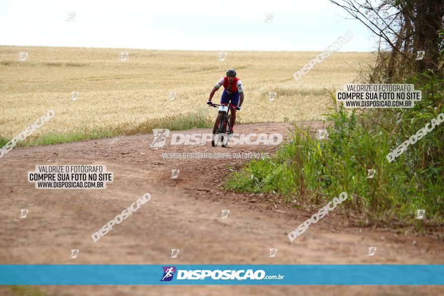 Circuito Regional de MTB - 3ª Etapa - Marialva