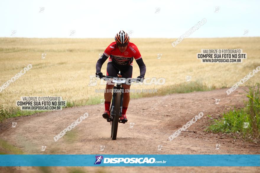 Circuito Regional de MTB - 3ª Etapa - Marialva