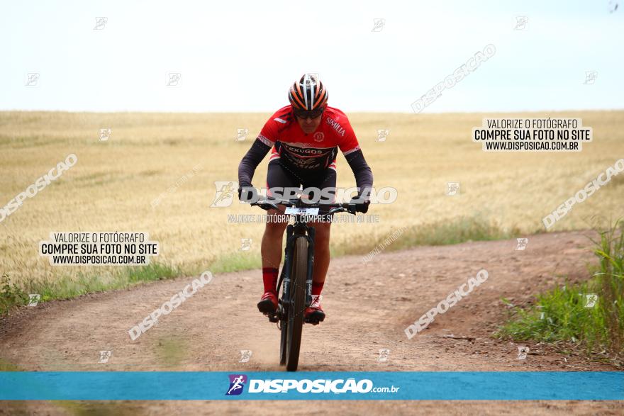 Circuito Regional de MTB - 3ª Etapa - Marialva