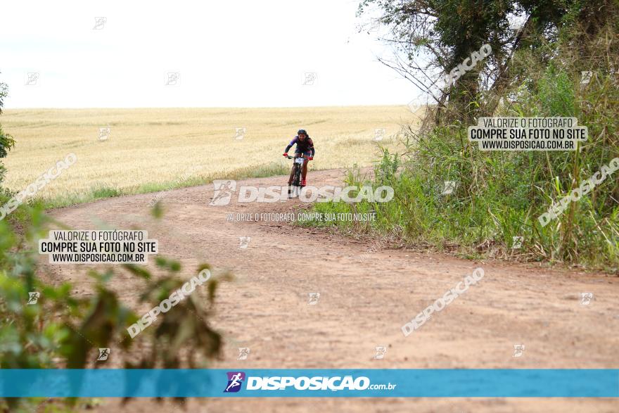 Circuito Regional de MTB - 3ª Etapa - Marialva