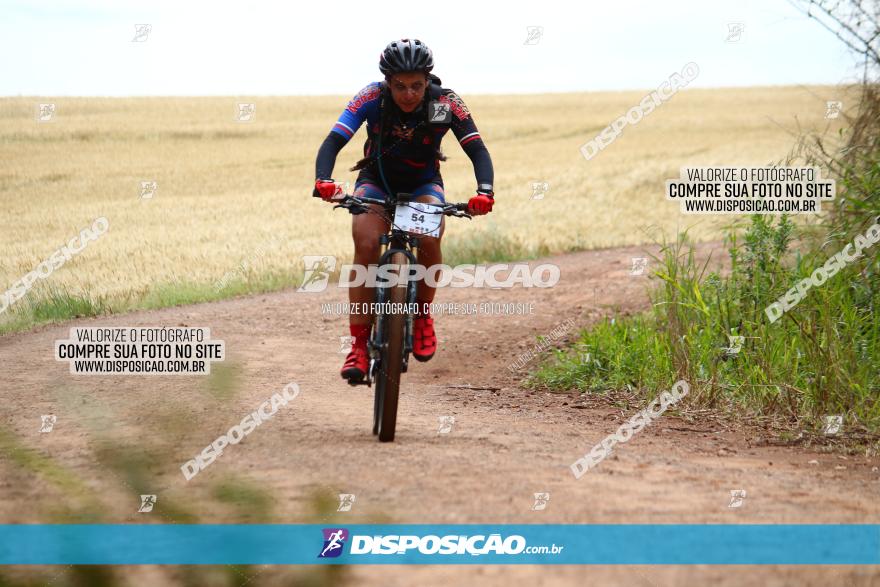 Circuito Regional de MTB - 3ª Etapa - Marialva