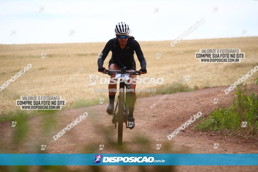 Circuito Regional de MTB - 3ª Etapa - Marialva