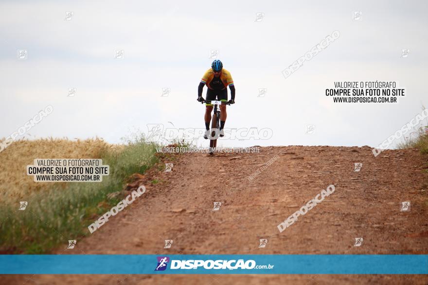 Circuito Regional de MTB - 3ª Etapa - Marialva