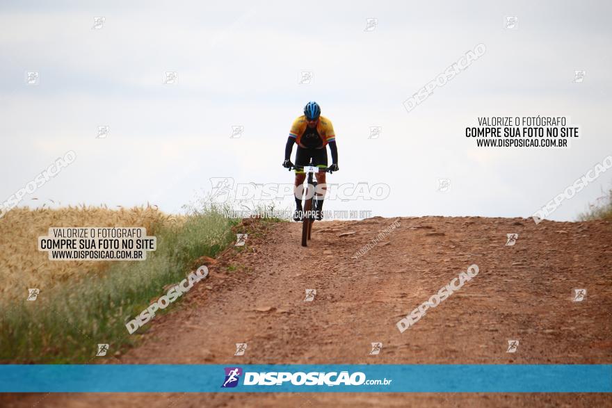 Circuito Regional de MTB - 3ª Etapa - Marialva