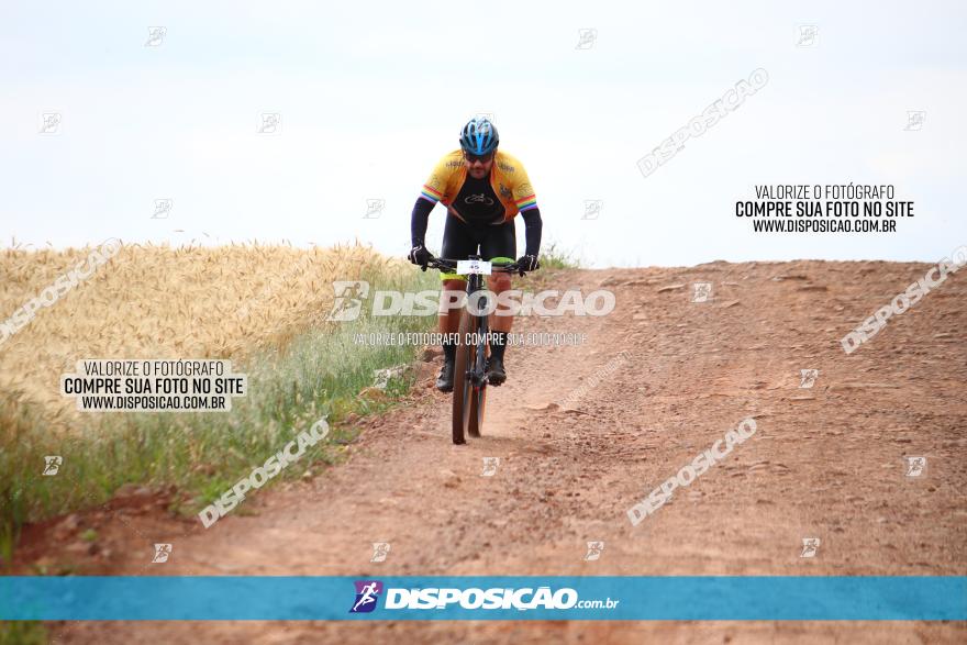 Circuito Regional de MTB - 3ª Etapa - Marialva