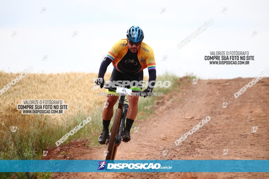 Circuito Regional de MTB - 3ª Etapa - Marialva