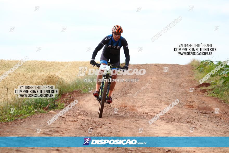 Circuito Regional de MTB - 3ª Etapa - Marialva