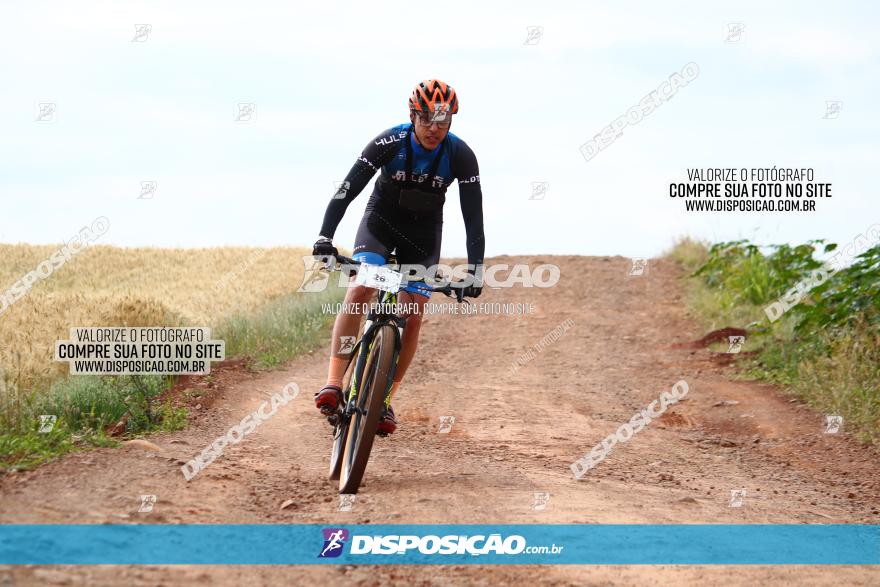 Circuito Regional de MTB - 3ª Etapa - Marialva