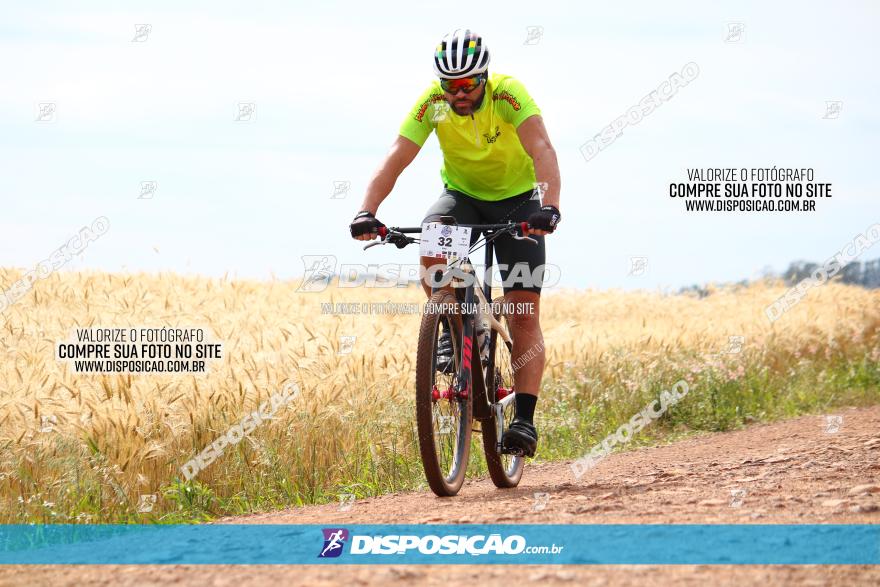 Circuito Regional de MTB - 3ª Etapa - Marialva