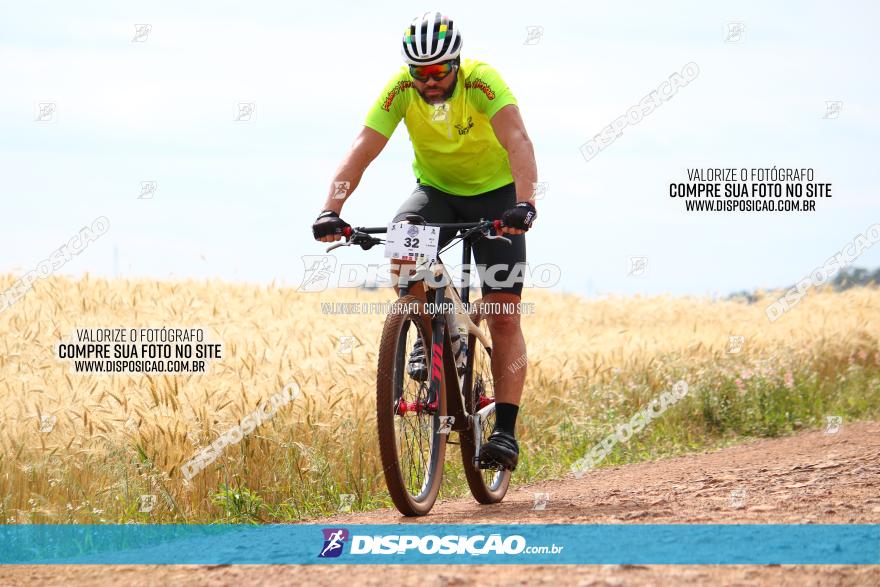 Circuito Regional de MTB - 3ª Etapa - Marialva