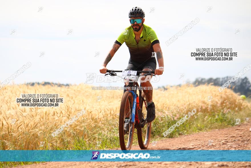 Circuito Regional de MTB - 3ª Etapa - Marialva