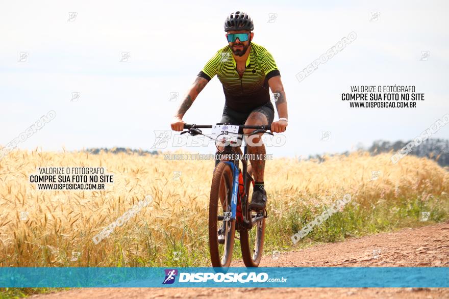 Circuito Regional de MTB - 3ª Etapa - Marialva