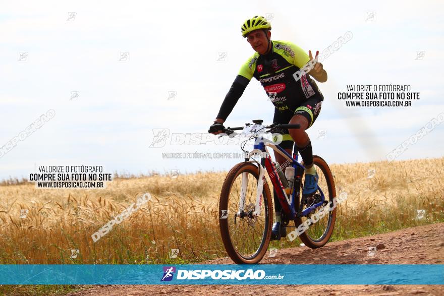 Circuito Regional de MTB - 3ª Etapa - Marialva