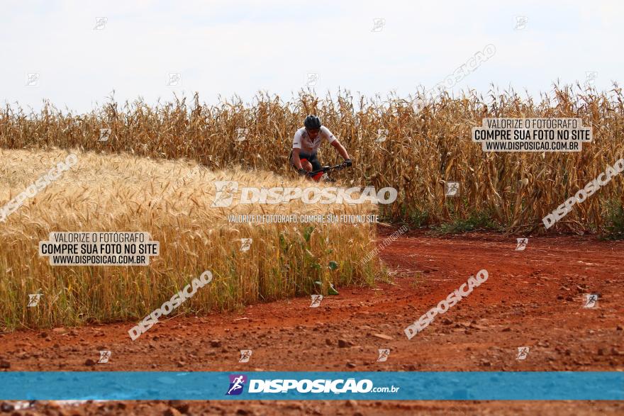 Circuito Regional de MTB - 3ª Etapa - Marialva