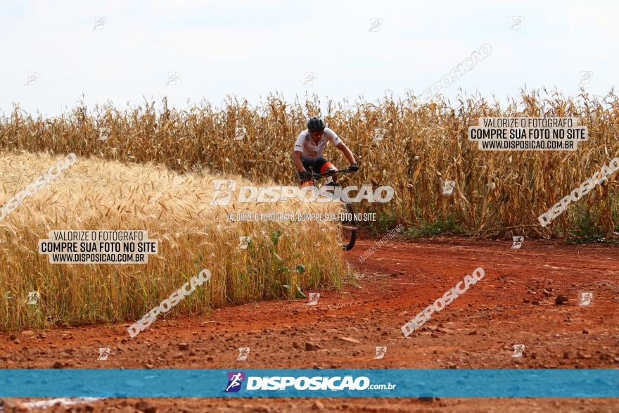 Circuito Regional de MTB - 3ª Etapa - Marialva